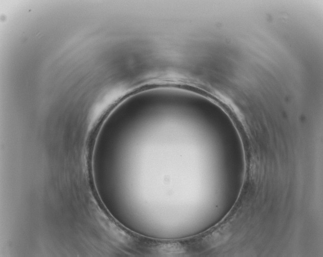 X0000088611464200706011215