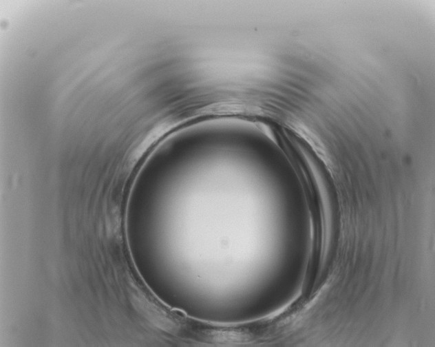 X0000088611465200706011215