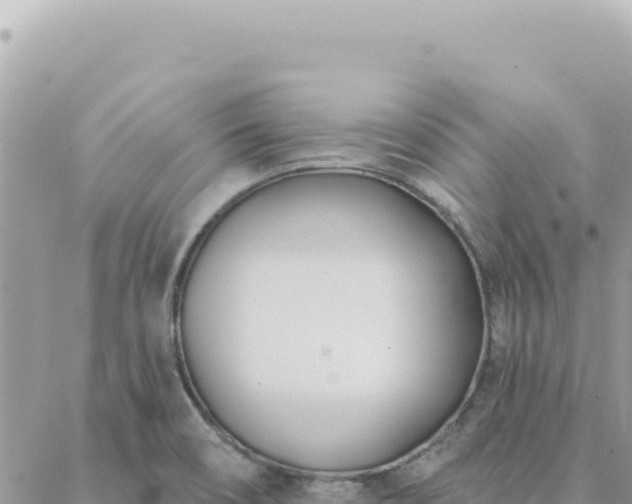 X0000088611466200706011215