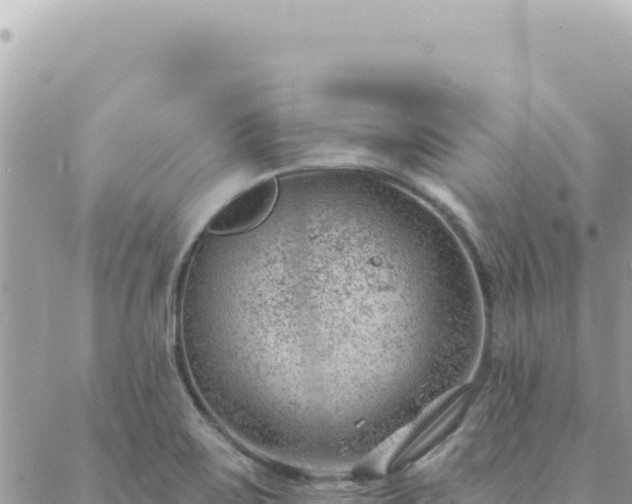 X0000088611467200706011215