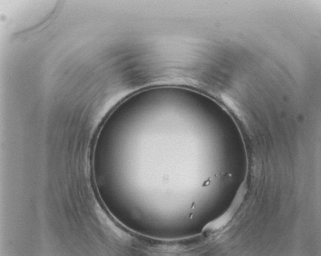 X0000088611468200706011215