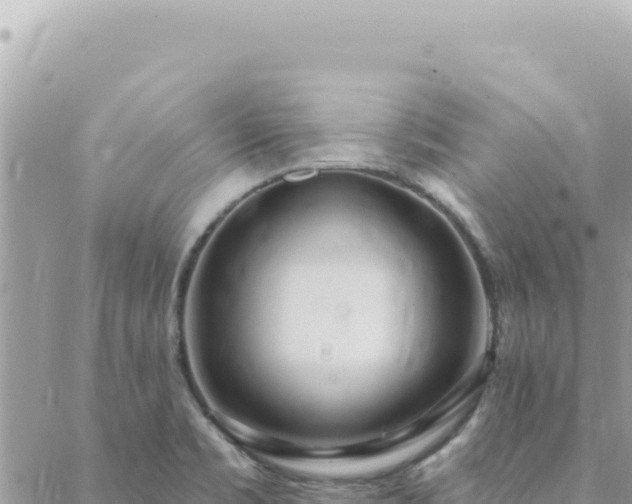 X0000088611469200706011215