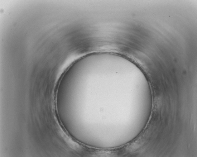 X0000088611470200706011215