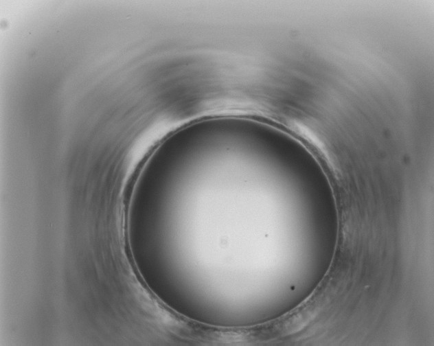 X0000088611472200706011215