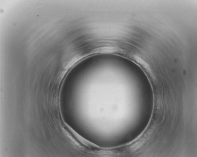 X0000088611473200706011215