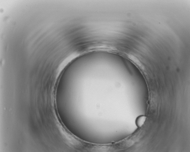 X0000088611474200706011215