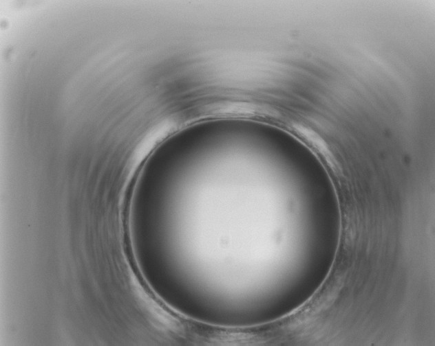 X0000088611475200706011215