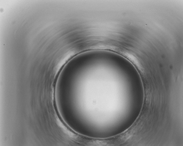 X0000088611476200706011215