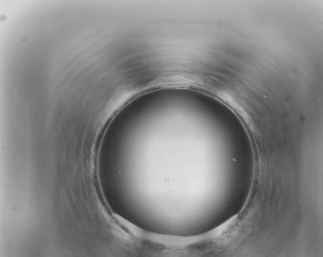 X0000088611477200706011215