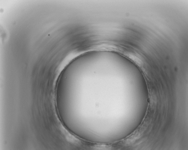 X0000088611478200706011215