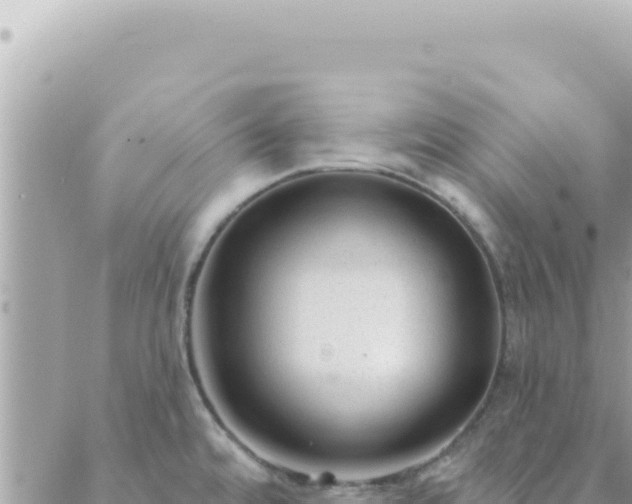 X0000088611480200706011215