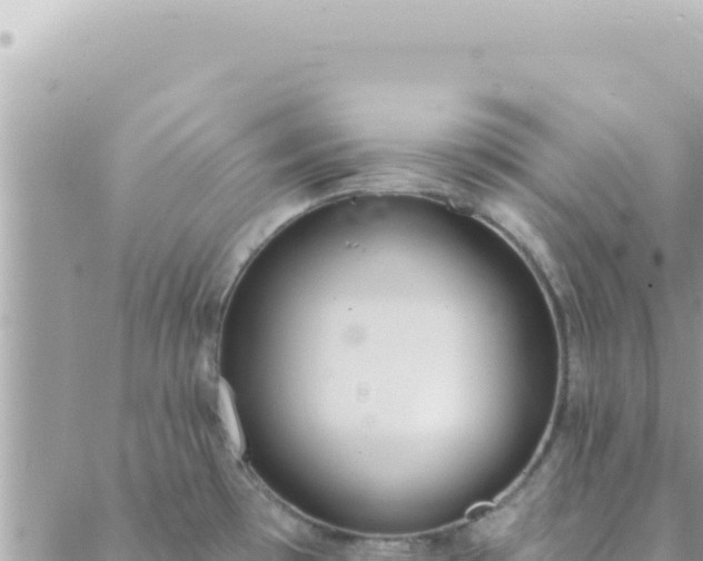 X0000088611481200706011215