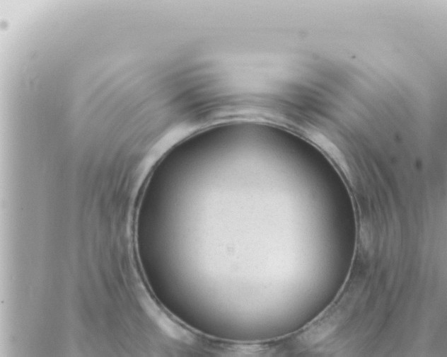 X0000088611482200706011215