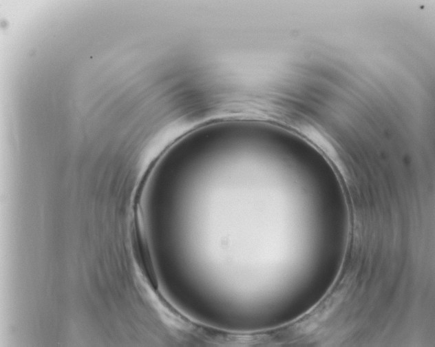 X0000088611485200706011215