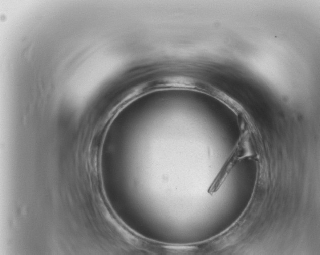 X0000088611487200706011215