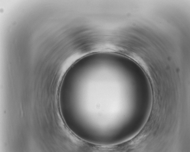 X0000088611488200706011215