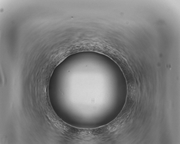 X0000088611489200706011214