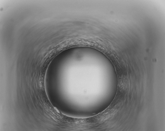 X0000088611490200706011214