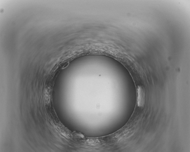 X0000088611491200706011214