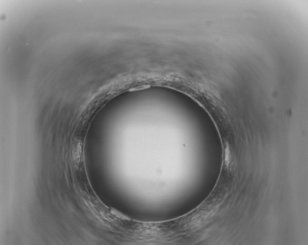 X0000088611492200706011214