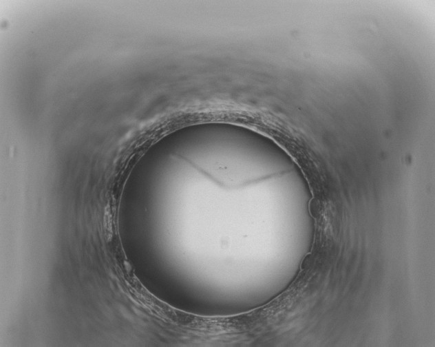 X0000088611493200706011214