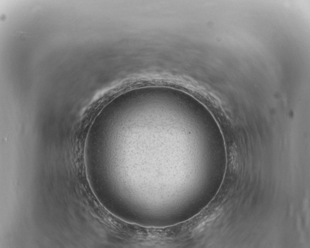 X0000088611494200706011214