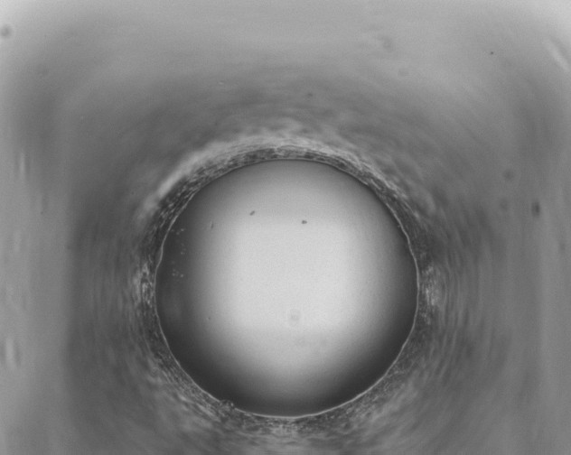 X0000088611495200706011214