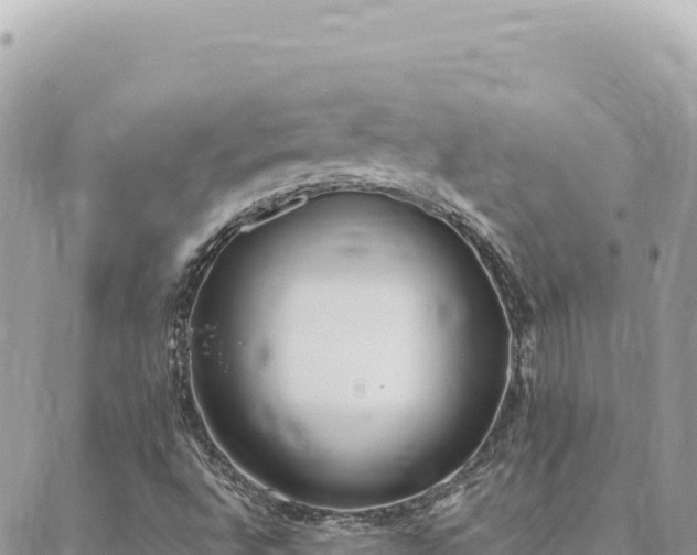 X0000088611496200706011214