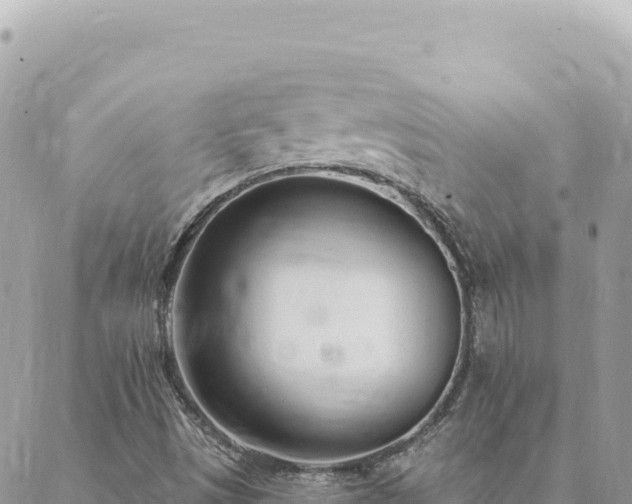 X0000088611497200706011214