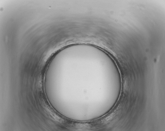 X0000088611498200706011214