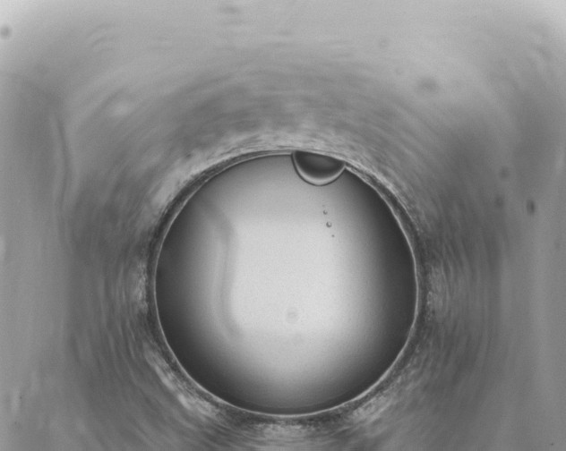 X0000088611499200706011214