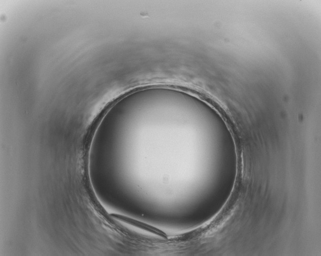 X0000088611501200706011214