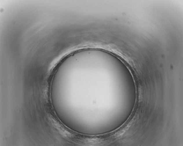 X0000088611502200706011214