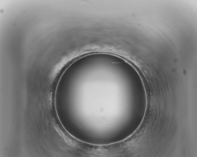 X0000088611503200706011214