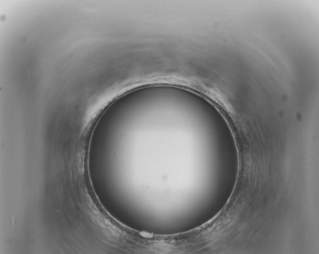 X0000088611504200706011214