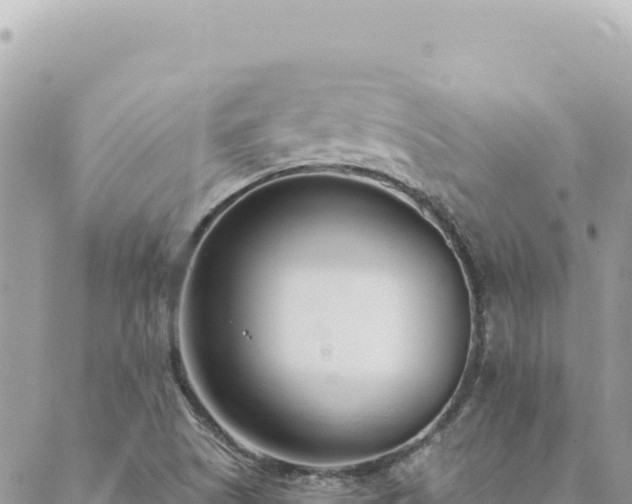 X0000088611505200706011214