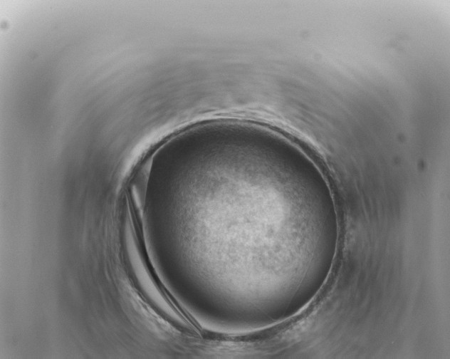 X0000088611506200706011214