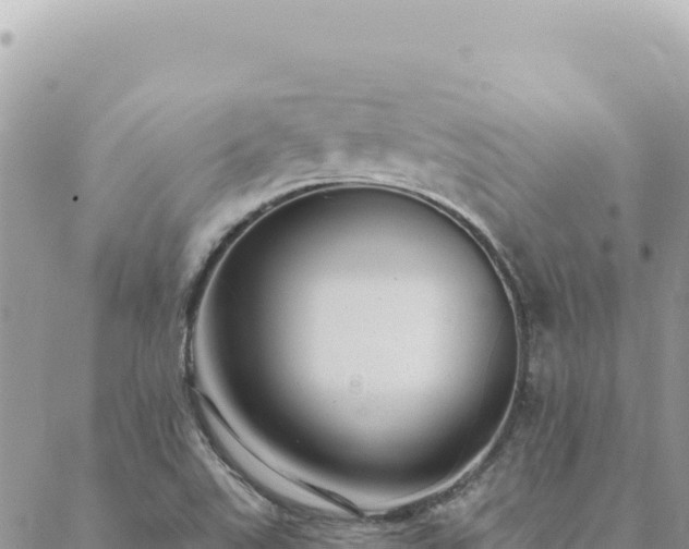 X0000088611507200706011214