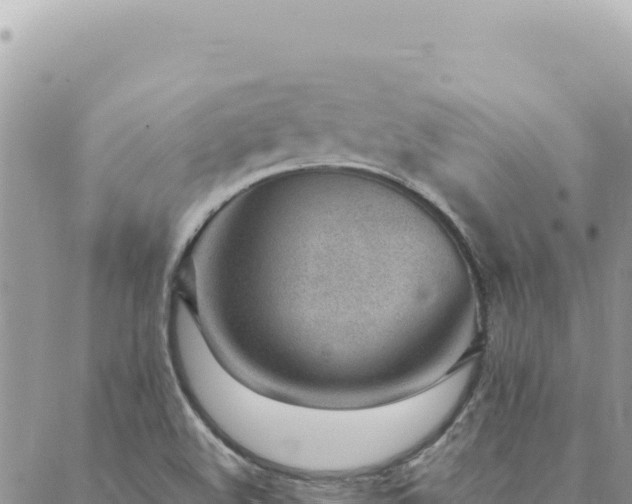 X0000088611508200706011214