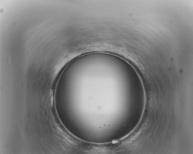 X0000088611509200706011214