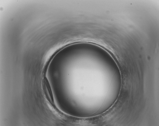 X0000088611511200706011214