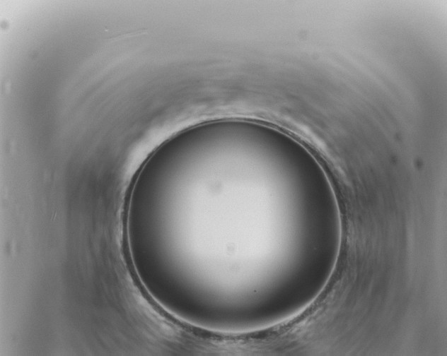 X0000088611512200706011214