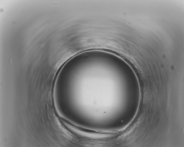 X0000088611513200706011214