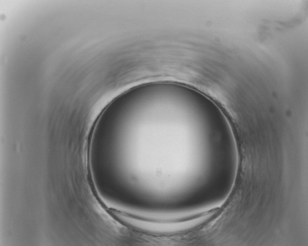 X0000088611516200706011215