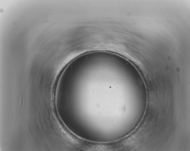 X0000088611517200706011215