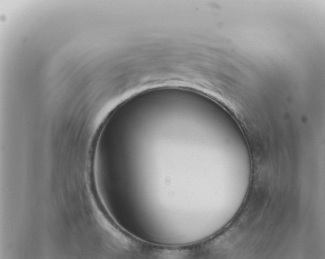 X0000088611518200706011215