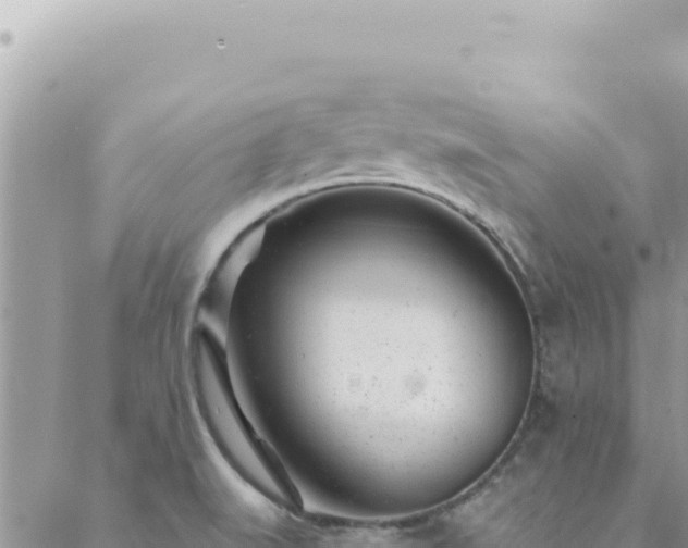 X0000088611519200706011215