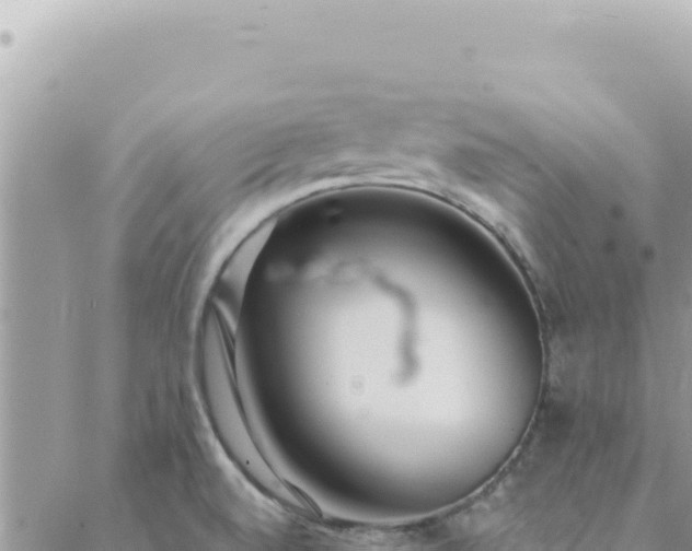 X0000088611520200706011215