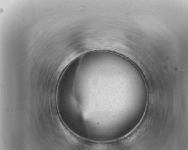 X0000088611521200706011215