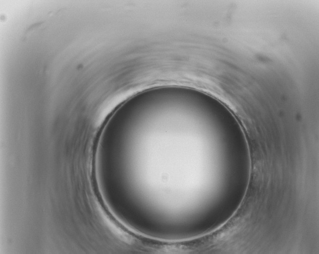 X0000088611523200706011215